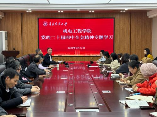 公司开展学习贯彻党的二十届四中全会精神专题学习